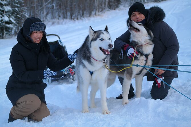 Husky Dog Sledding & Mushing With Pick up and Photo Service in Fairbanks, Alaska - Pickup and Transportation