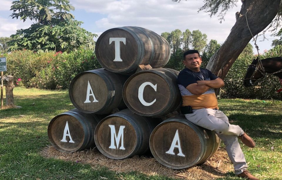 Ica: Pisco Wineries and Vineyards Day Tour - Itinerary and Experience