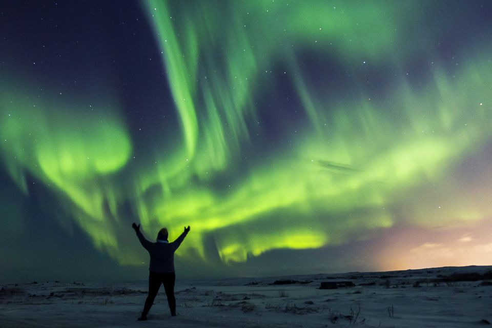 Iceland: Northern Lights Bus Tour From Reykjavik - Tour Logistics