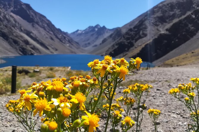 Inca Lagoon in Andes Mountain Range - Visit Local Vineyard With Tasting Included - Vineyard Experience at San Esteban