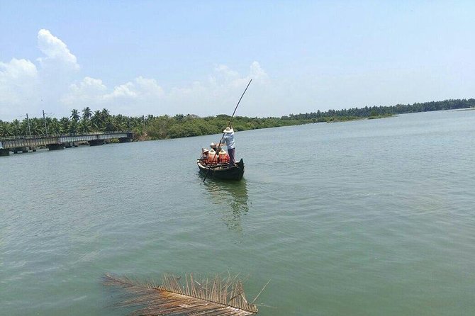 Into the Mangroves: Calicut Mangrove Trail by Tyndis - Highlights of the Mangrove Trail