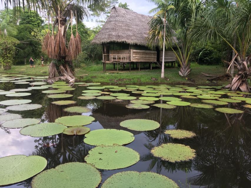 Iquitos: 3 Days and 2 Nights Guided Amazon Jungle Tour - Fundo Pedrito and Night Excursion