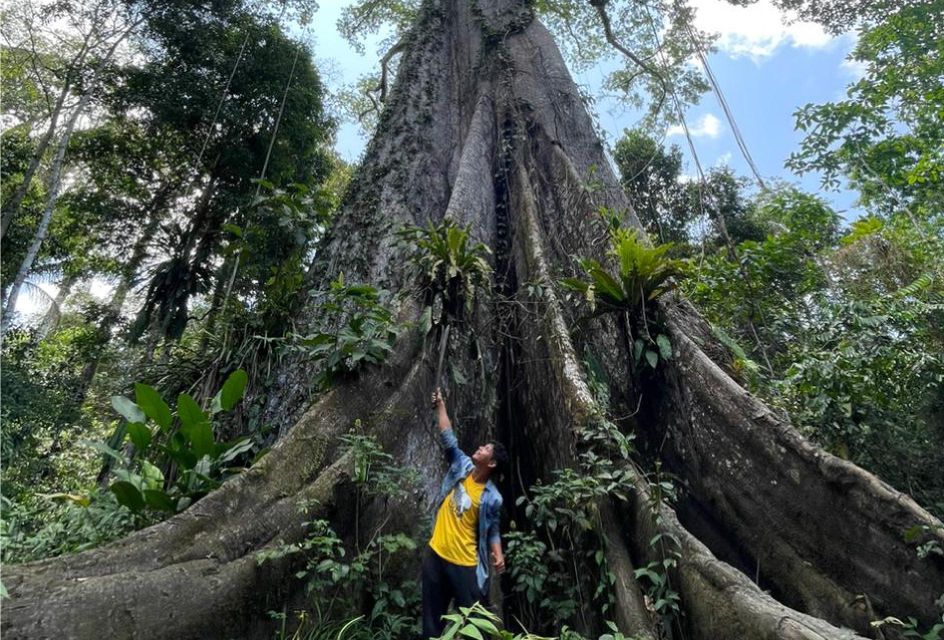 Iquitos: Expedition and Adventure in the Amazon | 2 Days - Day 2 Itinerary