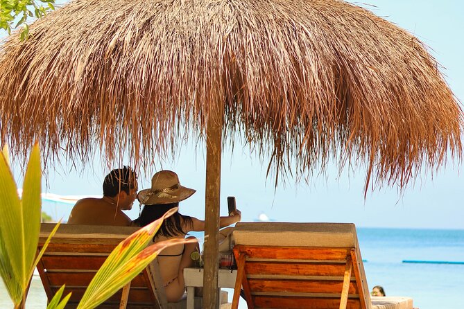 Islabela Full-Day Tour by Boat From Cartagena With Lunch - Itinerary Highlights