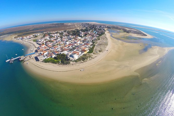 Islands Tour: Half Day Cruise in Ria Formosa National Park - Discovering the Barrier Islands