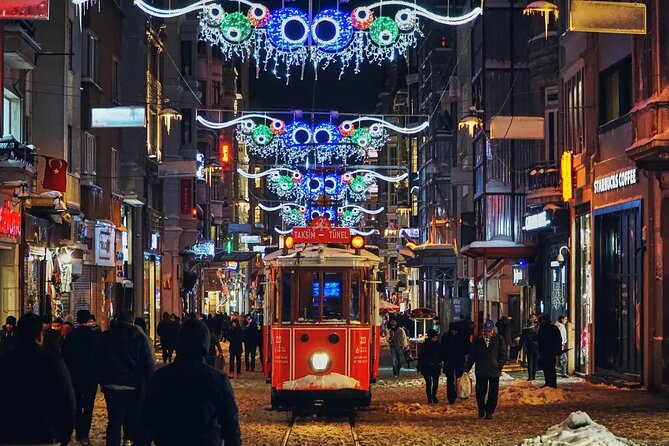 Istanbul Modern City - Galata & Pera & Taksim Guided Walking Tour - Accessibility Features