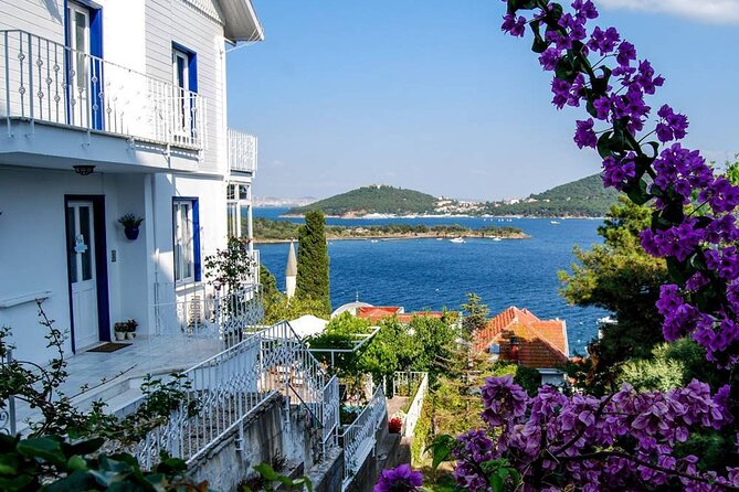 Istanbul Princes Island Tour With Lunch & Hotel Transfer - Inclusions and Logistics
