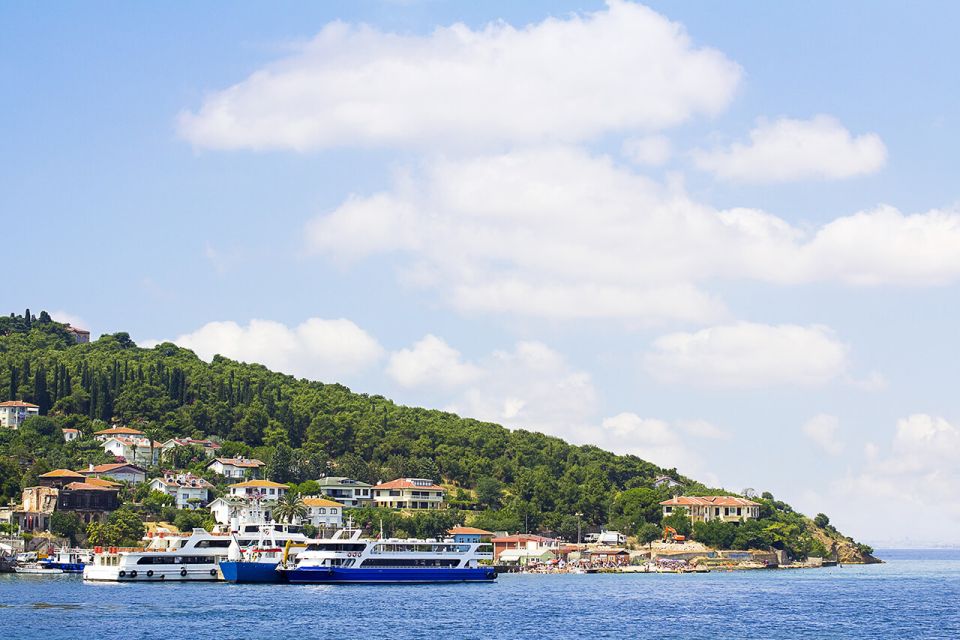 Istanbul: Round-Trip Ferry Tickets to the Princes Islands - Ferry Journey Experience