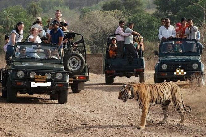 Jaipur to Ranthambore National Park Day Tour - All Inclusive - Meeting and Pickup Details