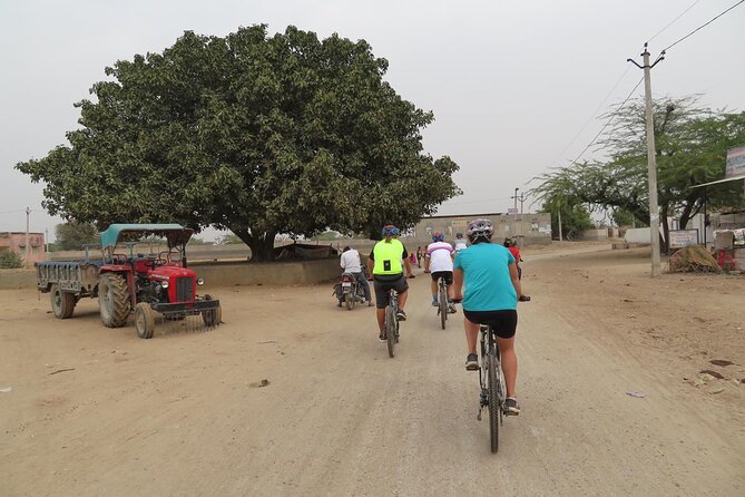 Jaipur Village Cycling Safari - Itinerary Highlights