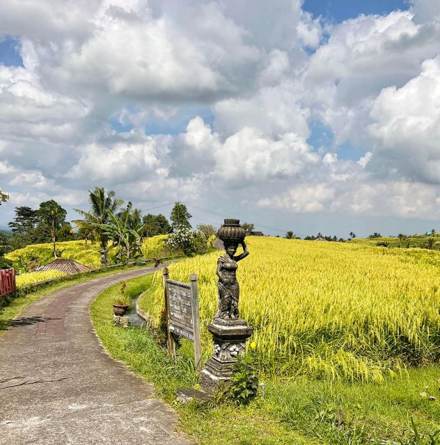 Jatiluwihs Rice Field Terraces: A Scenic Self-Guided Audio - Key Experience Highlights