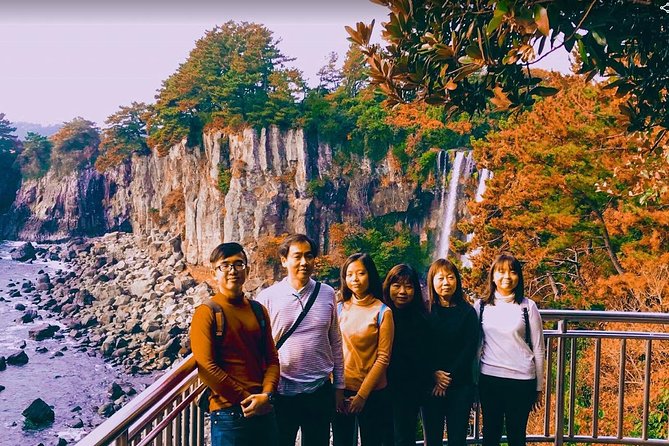 Jeju Island Taxi Tour : South Day Tour - Transportation and Pricing