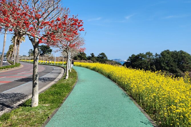 Jeju Private Taxi Tour With Flexible Itinerary - Pickup and Transportation Details