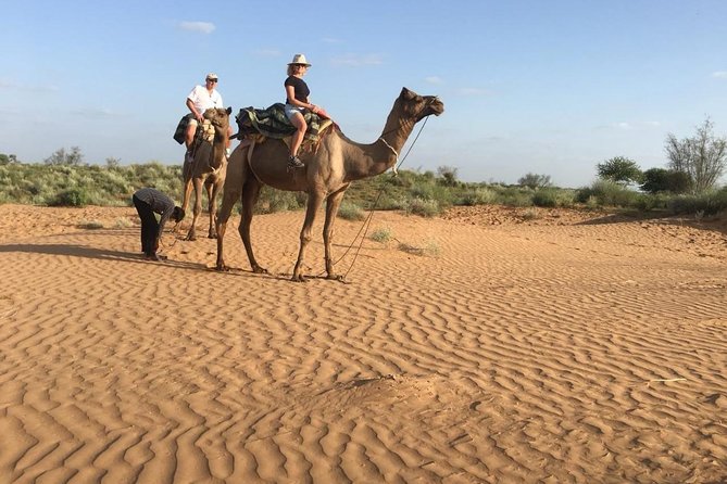 Jodhpur Camel Safari & Jeep Safari In Desert Jodhpur SR - Visiting Sachhai Mata Temple