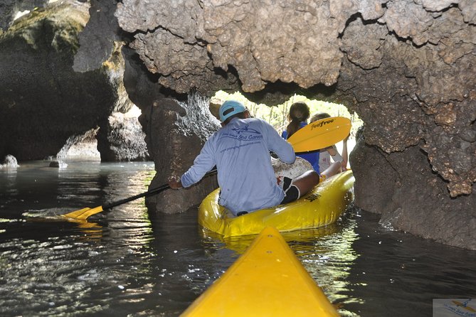 John Grays Sea Canoe Hong by Starlight Tour - Itinerary and Activities