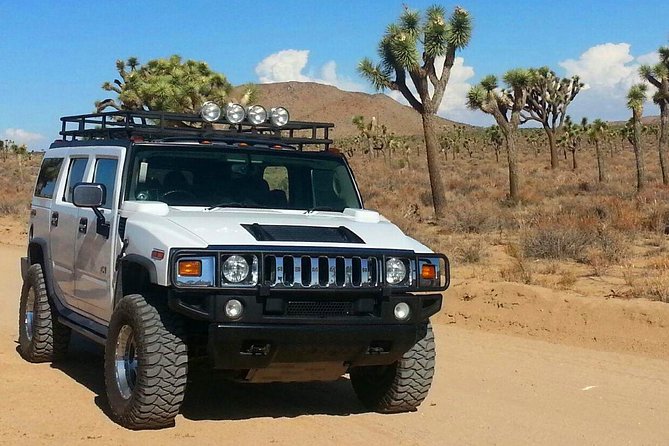 Joshua Tree National Park Air-Conditioned Tour - Inclusions and Meeting Logistics