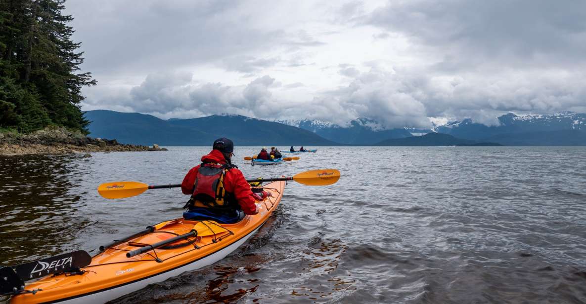 Juneau: Channel Islands Whale Watching Kayak Adventure - Itinerary