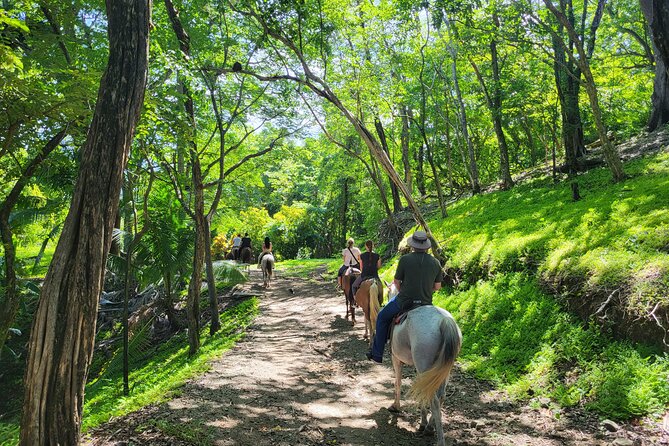 JUNGLE/ MOUTAIN AND BEACH TOUR HORSEBACK RIDING - 2h 1/2 - Meeting and Pickup Details