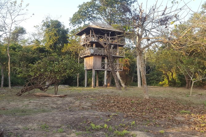 Jungle Towernight Stay In Chitwan National Park ,nepal-2 Nights 3 Days Package - Jeep Safari Experience