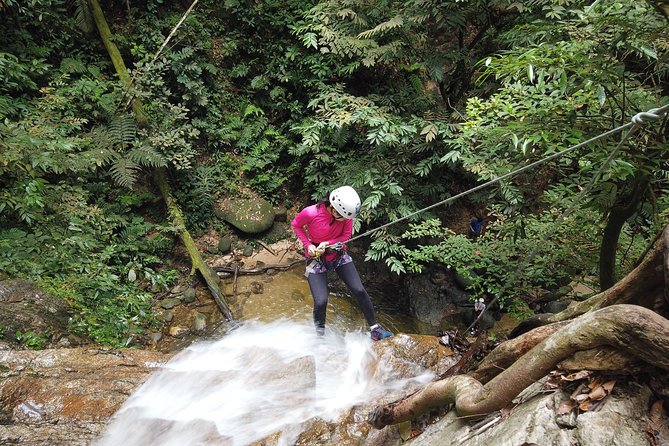 Jungle Trekking + Waterfall Abseiling - Meeting and Logistics
