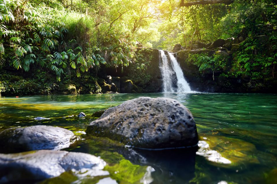 Kahului: Guided Rainforest and Waterfall Walk - Highlights of the Hike