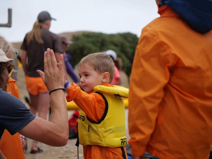 Kaikoura: Guided Family Kayaking Adventure - Experience Highlights