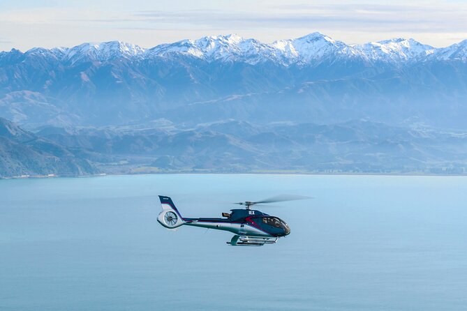Kaikoura Helicopters Top N Tail Whale Watch Flight - Scenic Flight Highlights