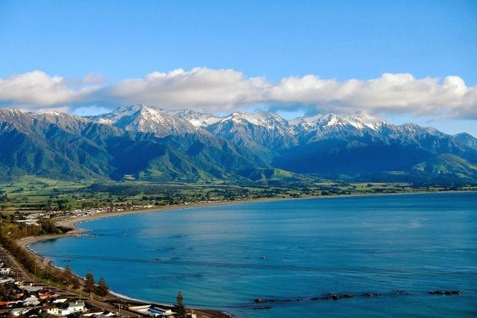 Kaikoura Swim With Dolphins Tour From Christchurch - What to Expect on the Tour