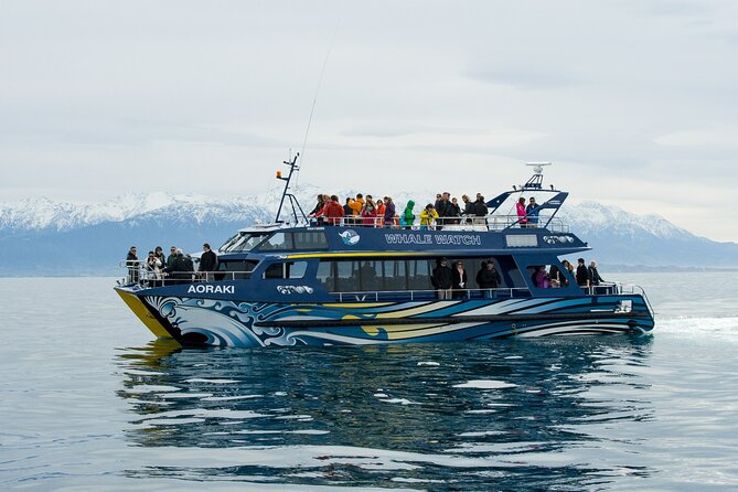 Kaikoura Whale and Dolphin Overnight Tour From Christchurch - Day 2 Itinerary