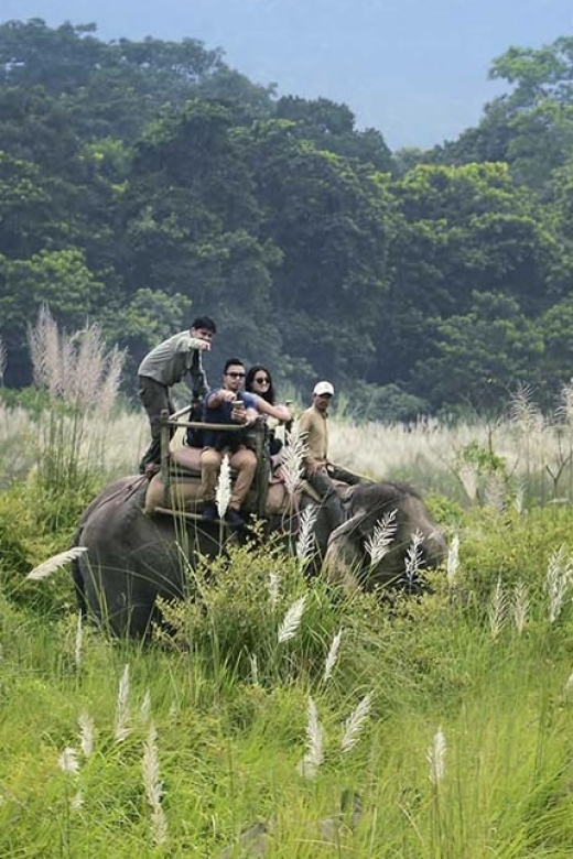 Kathmandu: 3 Day Chitwan Jungle Safari Tour Package - Detailed Itinerary