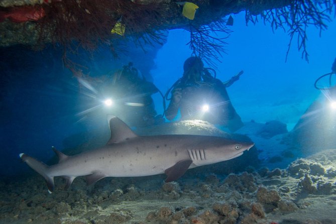 Kauais Ultimate Boat 2 Tank Adventure Dive Certified Divers Only - Group Size and Experience