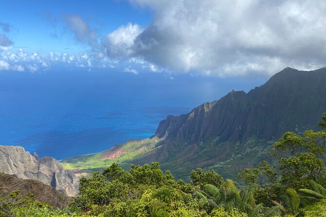 Kauais Waimea Canyon and South Side Private Guided Tour - Meet Your Tour Guide