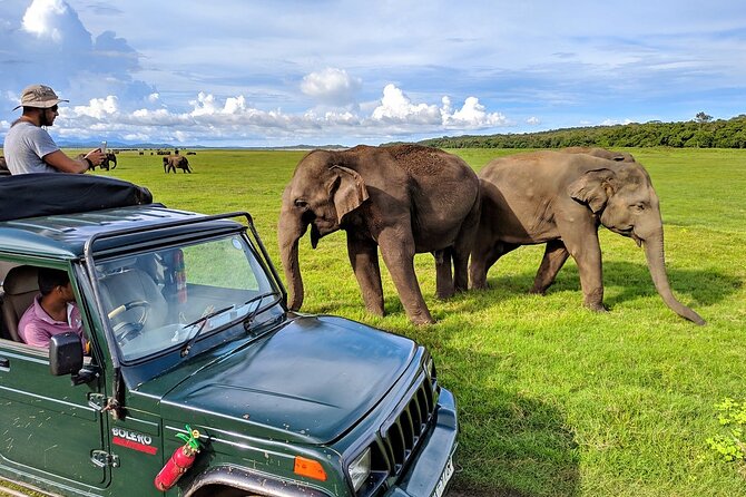 Kaudulla National Park Safari | Jeep With Tickets - Inclusions of the Safari