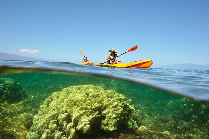 Kayak and Snorkel: Maui West Shore - Meeting Point and Schedule
