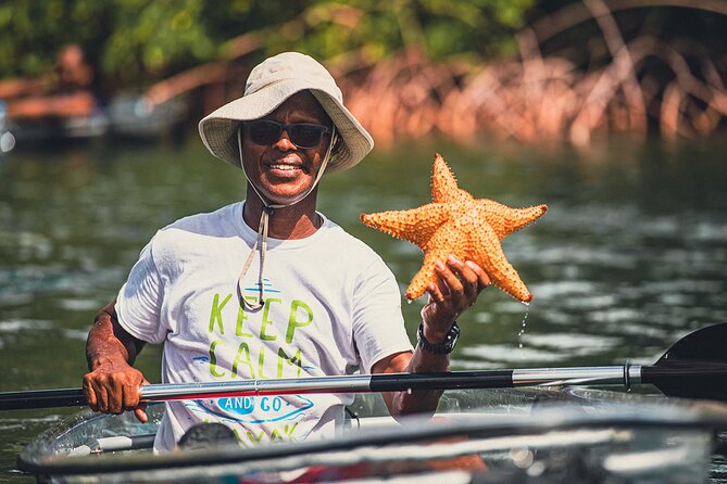 Kayak Eco Adventures Glass Kayak Nature and Snorkeling Tour - Included Amenities