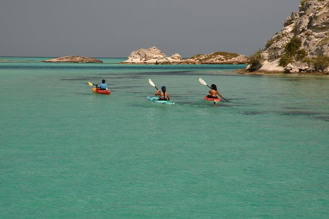 Kayak Eco Tour - Guided Paddling Experience