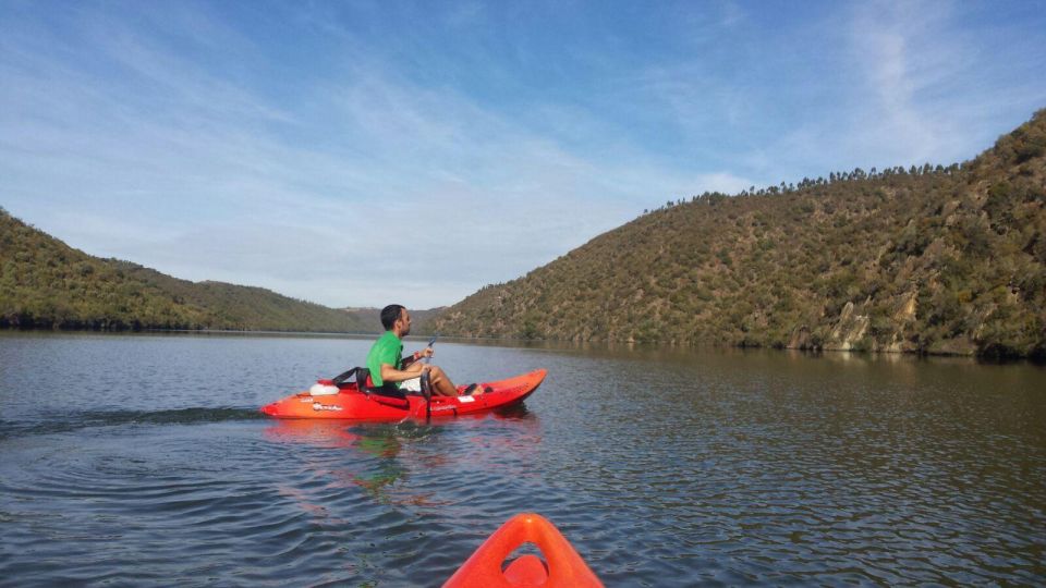 KAYAK Review: A Scenic Adventure Awaits - Booking Process