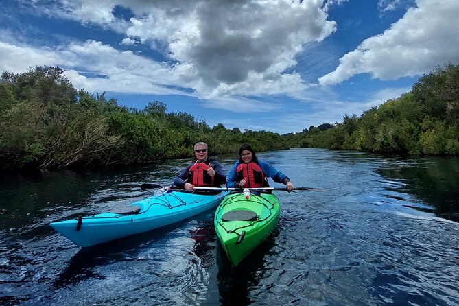 Kayak Through the Sunken Forest of the Maullín River - Unique Features of the Sunken Forest