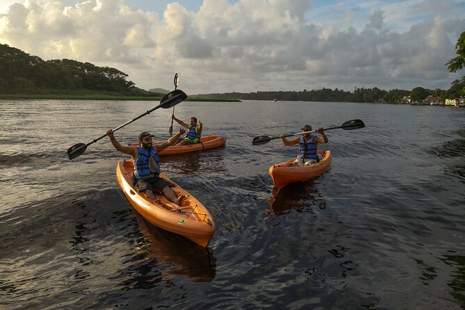 Kayak Tour - Tour Reviews and Feedback