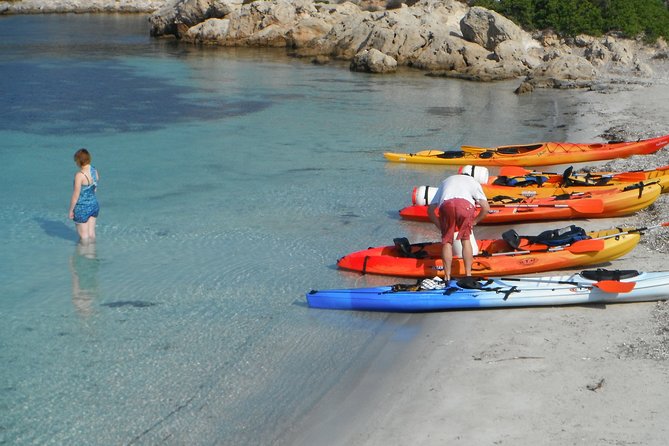 Kayak Tour in the Marine Reserve ! - Whats Included in the Tour