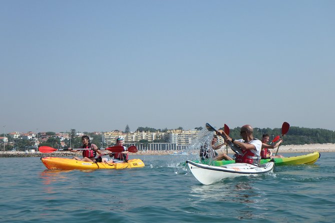 Kayak Tour of Lisbon - Highlights