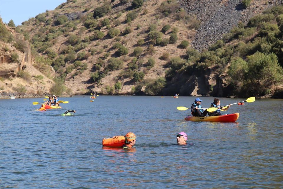 Kayak Tour on the Coa River - Itinerary and Activities