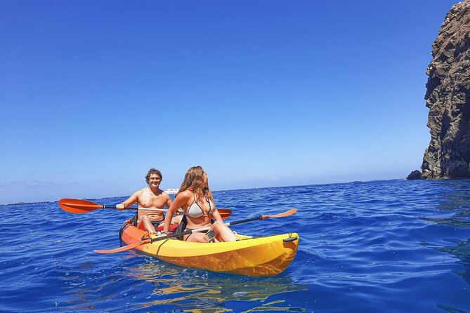 Kayak With Dolphin & Turtle Watching Private Tour - Highlights of the Experience