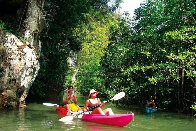 Kayaking in Ao Thalane - Discover the Mangrove Life - Unique Mangrove Ecosystem