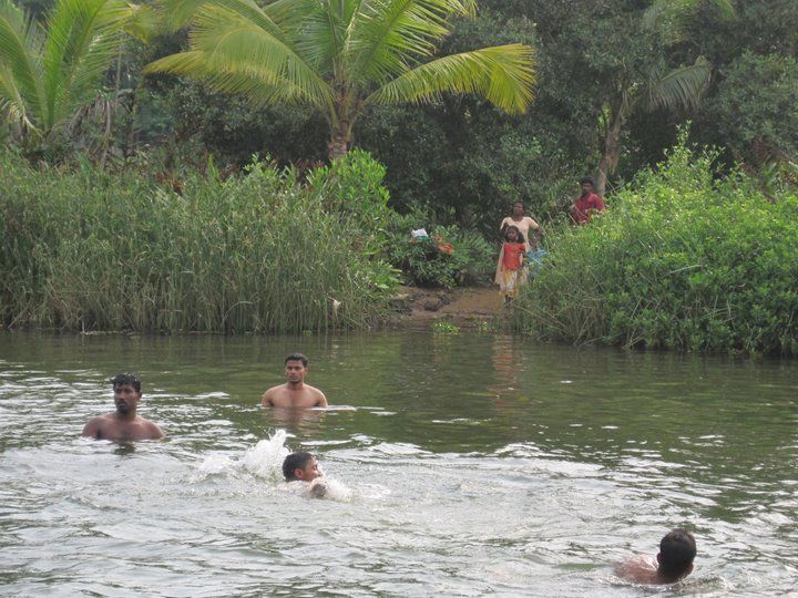 Kerala Houseboat Tour To Alapuzha - Experience Highlights