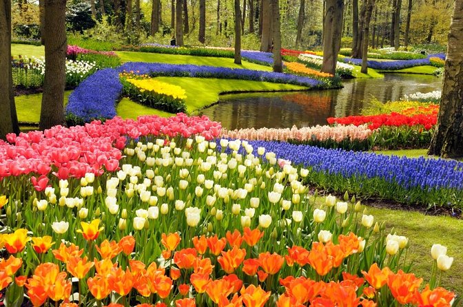 Keukenhof Gardens & Tulip Experience Guided Tour From Amsterdam - Exploring Keukenhofs Vibrant Blooms