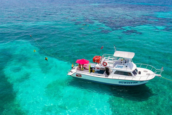 Key Largo Snorkeling Tour - Rental Mask, Fins and Vest INCLUDED - Included Gear Details