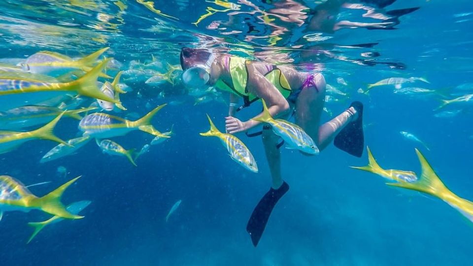 Key West: Afternoon Reef Snorkel Tour With Live Music & Bar - Included Services