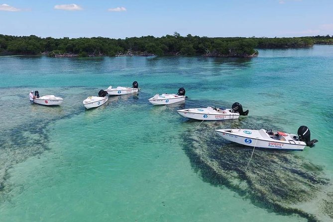Key West Safari Eco Sandbar Tour Adventure With Snorkeling - Safari Adventure Experience