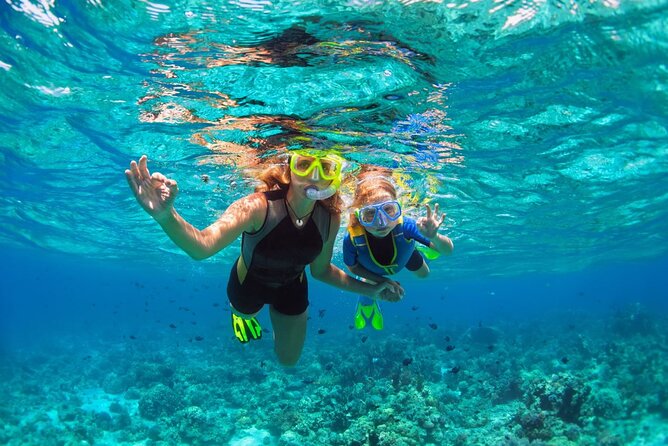 Key West Sunset Snorkel With Unlimited Draft Beer & Wine - Age Restrictions and Accessibility